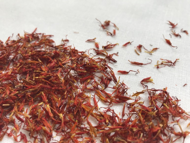 dye plant safflower LINNET Natural dye Linen 